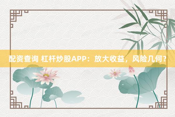 配资查询 杠杆炒股APP：放大收益，风险几何？