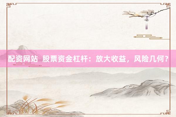 配资网站  股票资金杠杆：放大收益，风险几何？