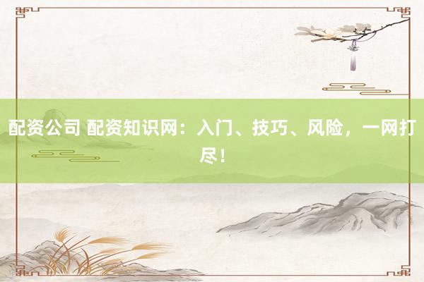 配资公司 配资知识网：入门、技巧、风险，一网打尽！