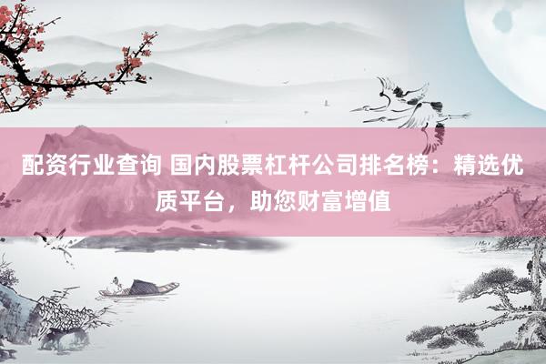 配资行业查询 国内股票杠杆公司排名榜：精选优质平台，助您财富增值