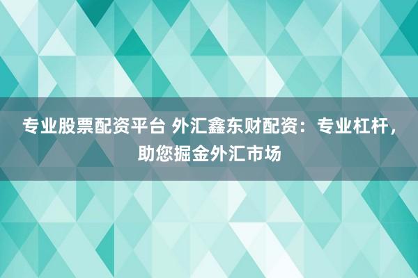 专业股票配资平台 外汇鑫东财配资：专业杠杆，助您掘金外汇市场