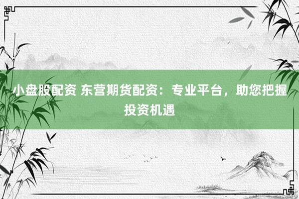 小盘股配资 东营期货配资：专业平台，助您把握投资机遇