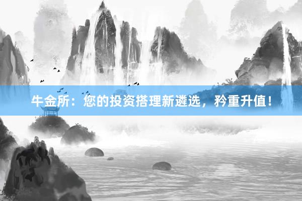 牛金所：您的投资搭理新遴选，矜重升值！
