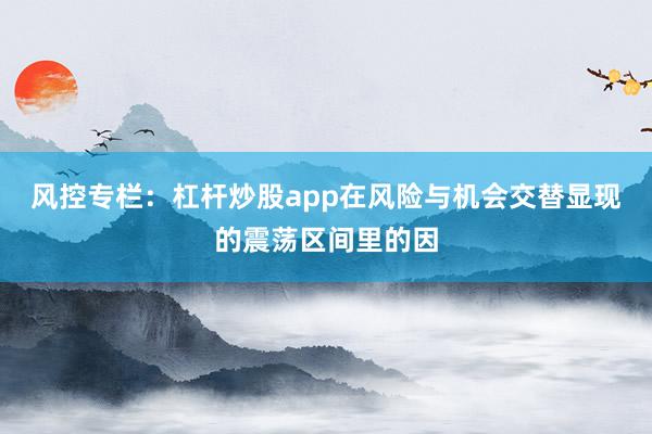 风控专栏:杠杆炒股app在风险与机会交替显现的震荡区间里的因