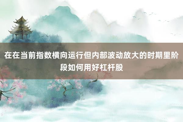 在在当前指数横向运行但内部波动放大的时期里阶段如何用好杠杆股