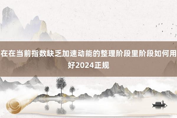 在在当前指数缺乏加速动能的整理阶段里阶段如何用好2024正规