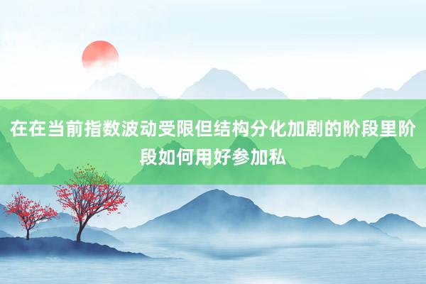 在在当前指数波动受限但结构分化加剧的阶段里阶段如何用好参加私