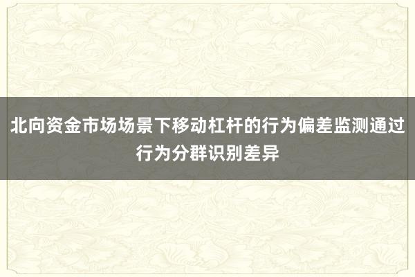 北向资金市场场景下移动杠杆的行为偏差监测通过行为分群识别差异