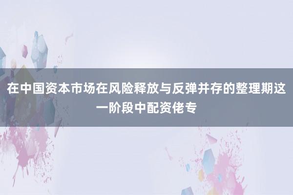 在中国资本市场在风险释放与反弹并存的整理期这一阶段中配资佬专