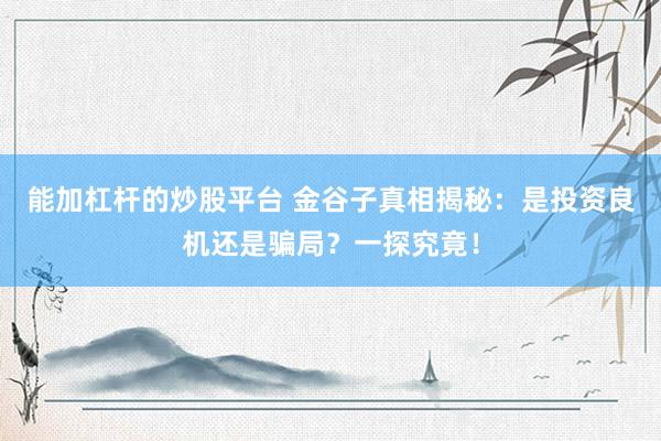 能加杠杆的炒股平台 金谷子真相揭秘：是投资良机还是骗局？一探究竟！