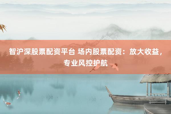 智沪深股票配资平台 场内股票配资：放大收益，专业风控护航