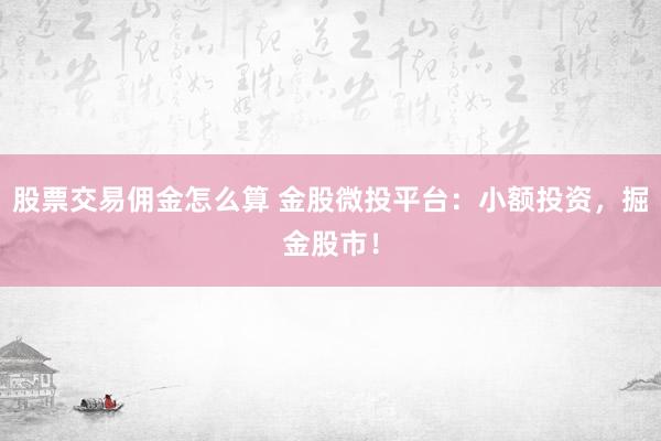 股票交易佣金怎么算 金股微投平台：小额投资，掘金股市！