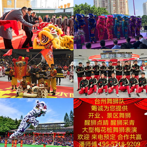 台州舞狮队,专业正宗舞狮,开业庆典,景区表演价格